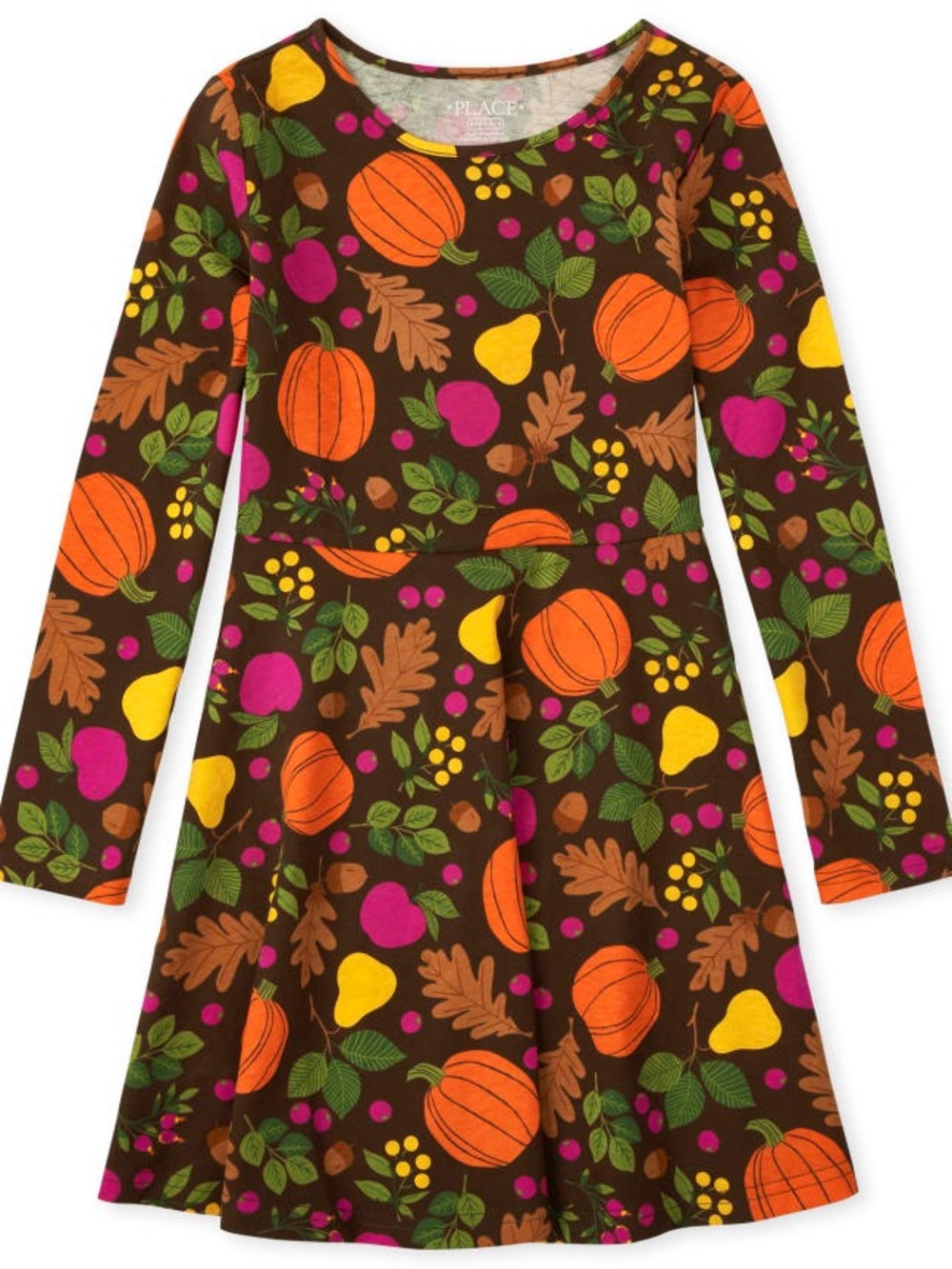 The Childrens Place Brown Fall Harvest Dress with Pumpkins